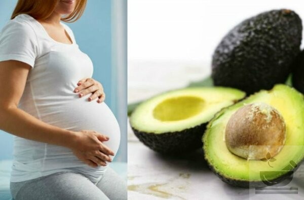 Авокадо полезен при беременности